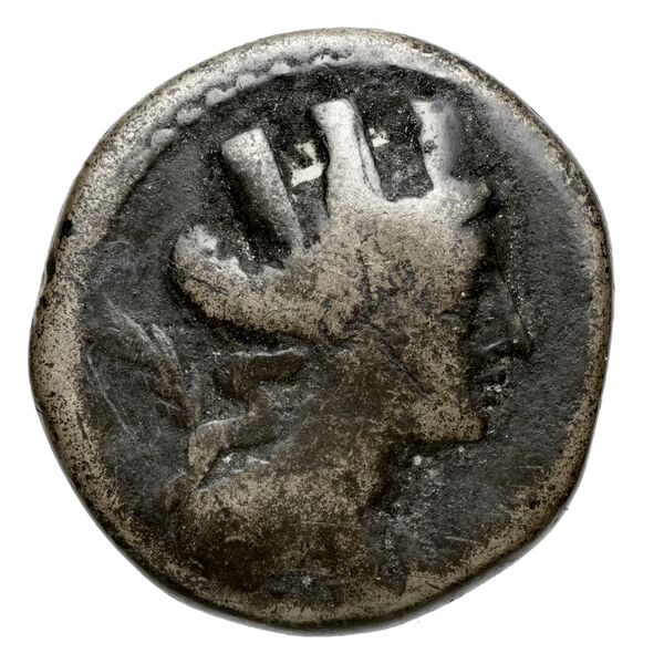 Aradus Duyrat 2005 2237-2492, аверс, bnf-iris