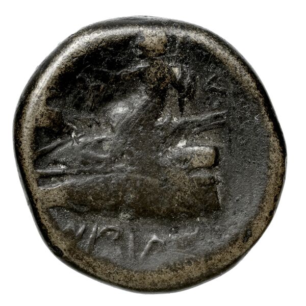Aradus Duyrat 2005 2237-2492, реверс, bnf-iris