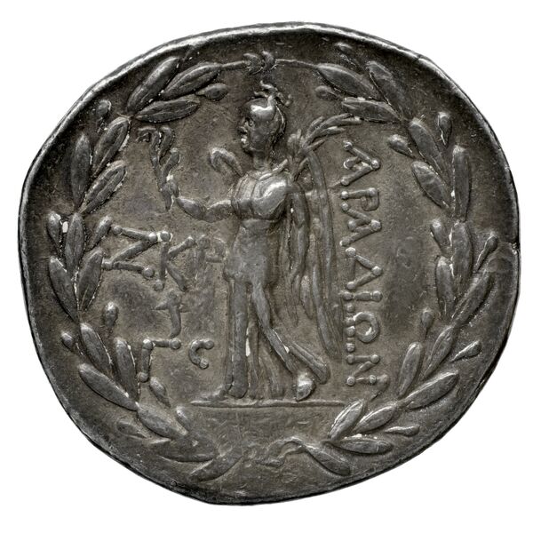 Aradus Duyrat 2005 3010-4227, реверс, bnf-iris