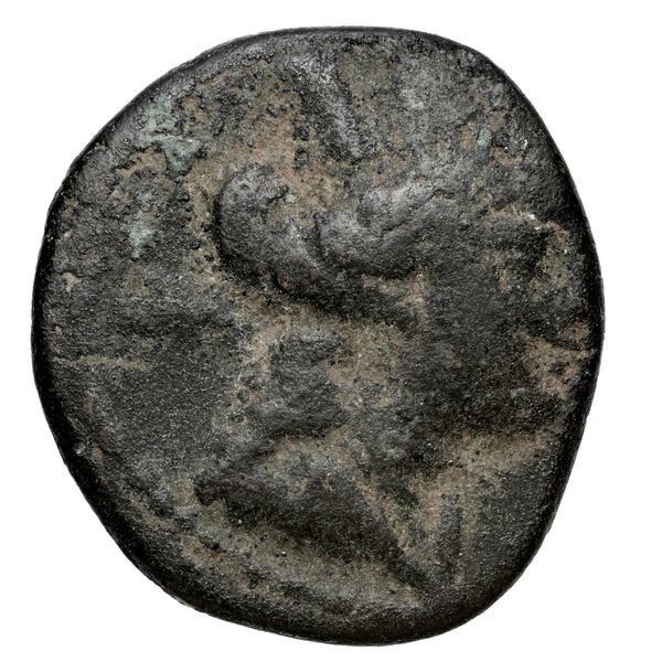 Aradus Duyrat 2005 2237-2492, аверс, bnf-iris