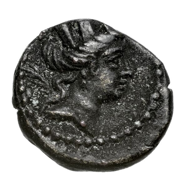 Aradus Duyrat 2005 2495-2572, аверс, bnf-iris