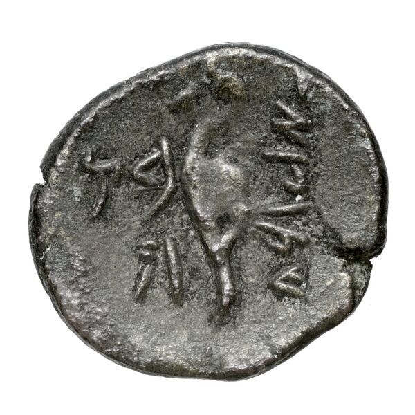 Aradus Duyrat 2005 2495-2572, реверс, bnf-iris