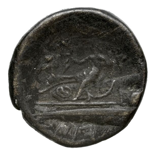 Aradus Duyrat 2005 2237-2492, реверс, bnf-iris