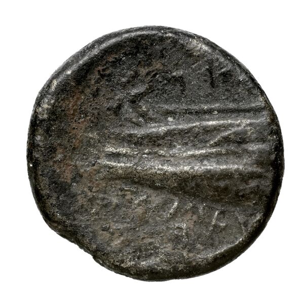 Aradus Duyrat 2005 4228-4381, реверс, bnf-iris