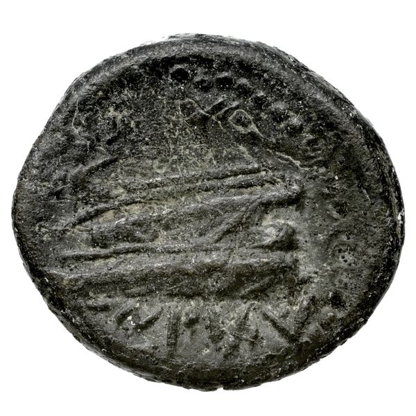 Aradus Duyrat 2005 4228-4381, реверс, bnf-iris
