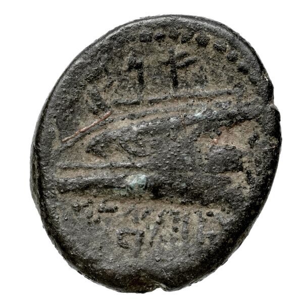 Aradus Duyrat 2005 4228-4381, реверс, bnf-iris