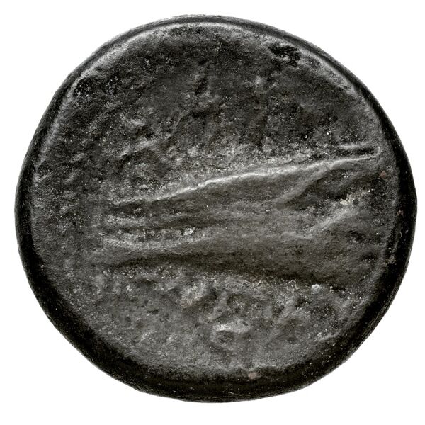 Aradus Duyrat 2005 4228-4381, реверс, bnf-iris