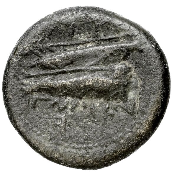 Aradus Duyrat 2005 4228-4381, реверс, bnf-iris