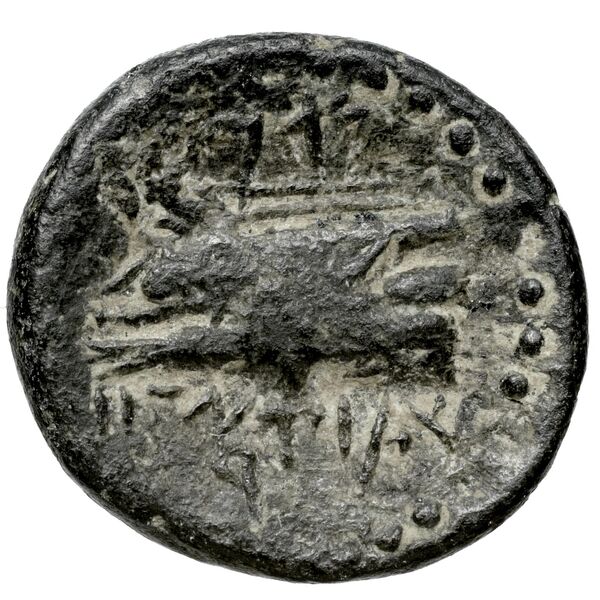 Aradus Duyrat 2005 4228-4381, реверс, bnf-iris