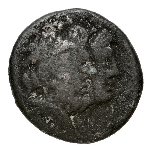 Aradus Duyrat 2005 4228-4381, аверс, bnf-iris