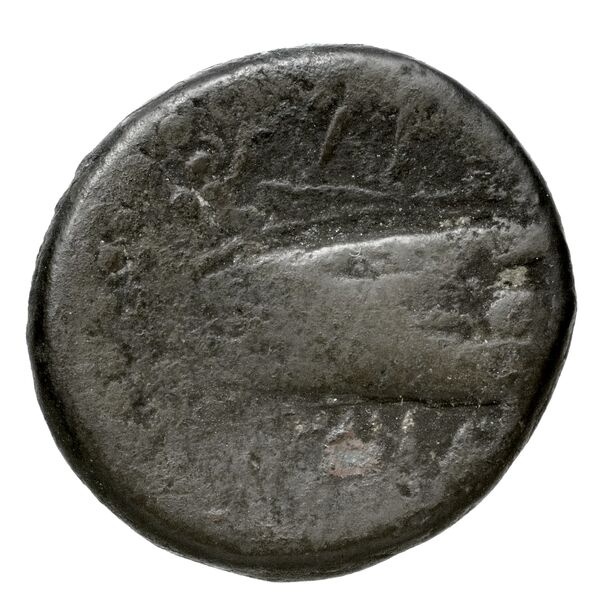 Aradus Duyrat 2005 4228-4381, реверс, bnf-iris