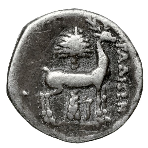 Aradus Duyrat 2005 2573-3009, реверс, bnf-iris