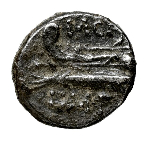 Aradus Duyrat 2005 1558-1628, реверс, bnf-iris