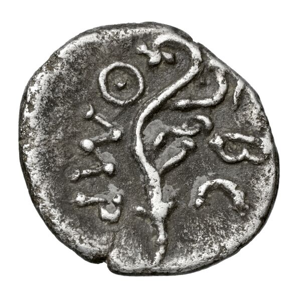 Aradus Duyrat 2005 4405-4417, реверс, bnf-iris
