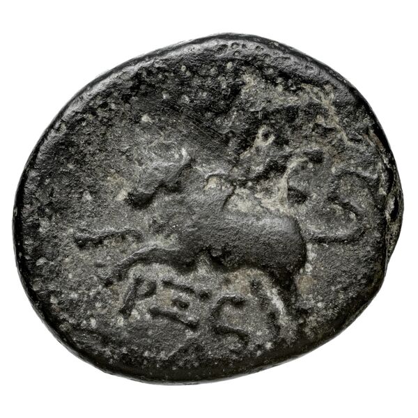 Aradus Duyrat 2005 4422-4602, реверс, bnf-iris
