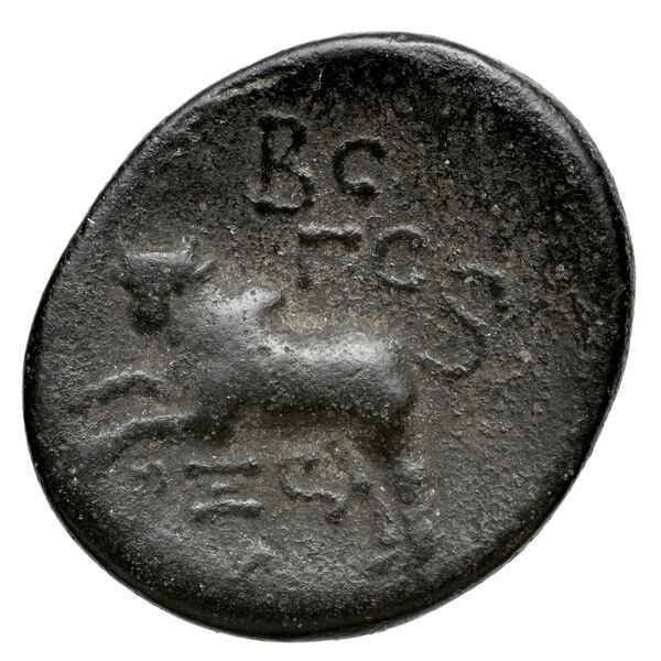 Aradus Duyrat 2005 4422-4602, реверс, bnf-iris