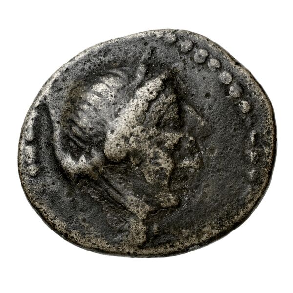 Aradus Duyrat 2005 4422-4602, аверс, bnf-iris
