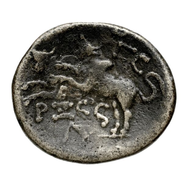Aradus Duyrat 2005 4422-4602, реверс, bnf-iris