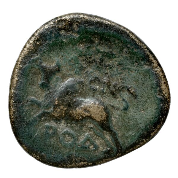 Aradus Duyrat 2005 4422-4602, реверс, bnf-iris