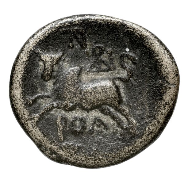 Aradus Duyrat 2005 4422-4602, реверс, bnf-iris