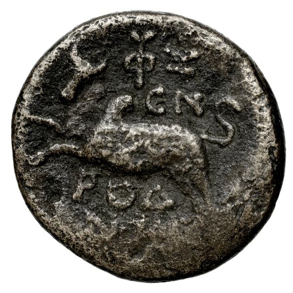 Aradus Duyrat 2005 4422-4602, реверс, bnf-iris