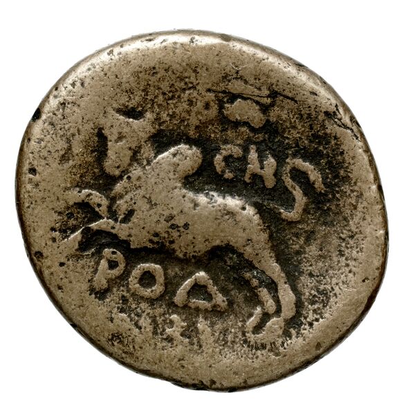 Aradus Duyrat 2005 4422-4602, реверс, bnf-iris