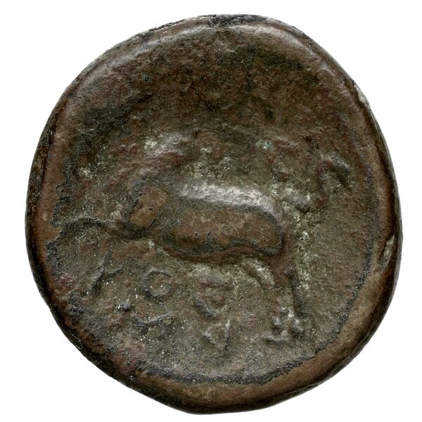 Aradus Duyrat 2005 4422-4602, реверс, bnf-iris