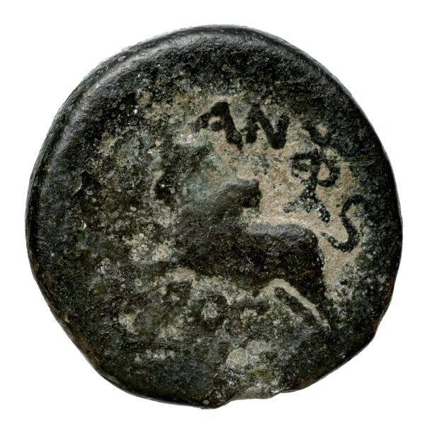 Aradus Duyrat 2005 4422-4602, реверс, bnf-iris