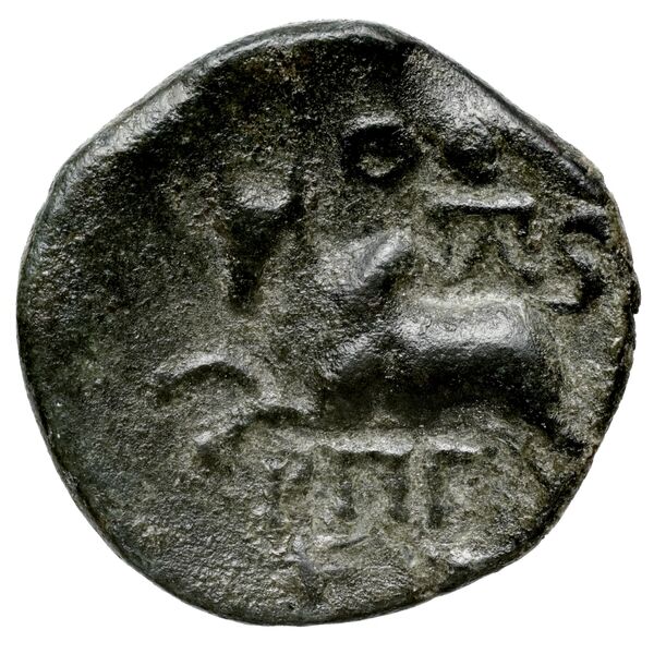 Aradus Duyrat 2005 4422-4602, реверс, bnf-iris