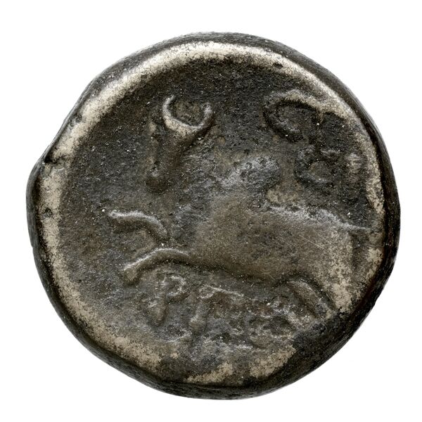 Aradus Duyrat 2005 4422-4602, реверс, bnf-iris