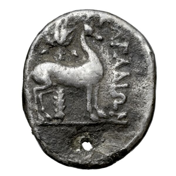 Aradus Duyrat 2005 2573-3009, реверс, bnf-iris