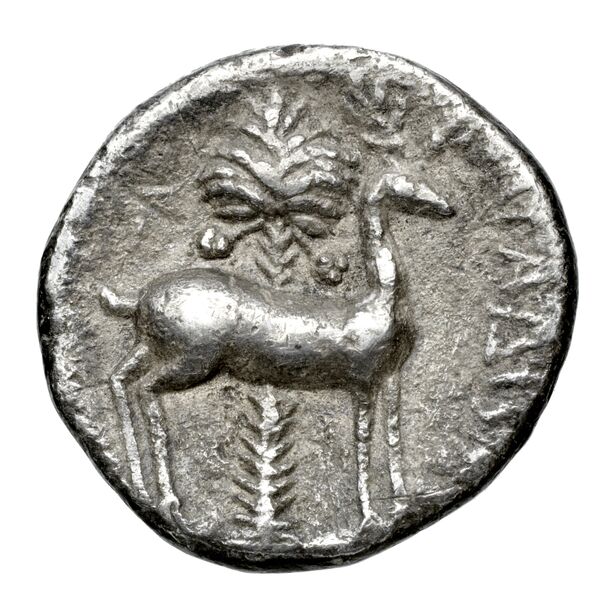 Aradus Duyrat 2005 2573-3009, реверс, bnf-iris