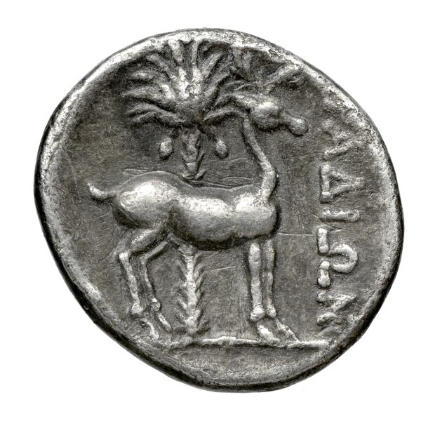 Aradus Duyrat 2005 2573-3009, реверс, bnf-iris