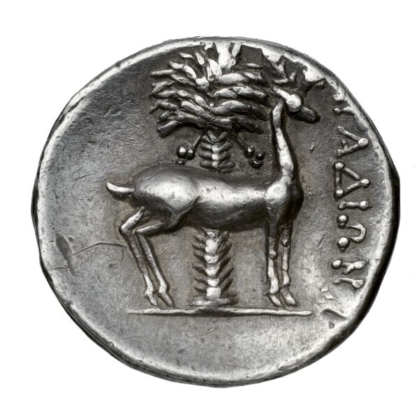 Aradus Duyrat 2005 2573-3009, реверс, bnf-iris