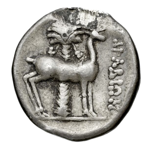 Aradus Duyrat 2005 2573-3009, реверс, bnf-iris