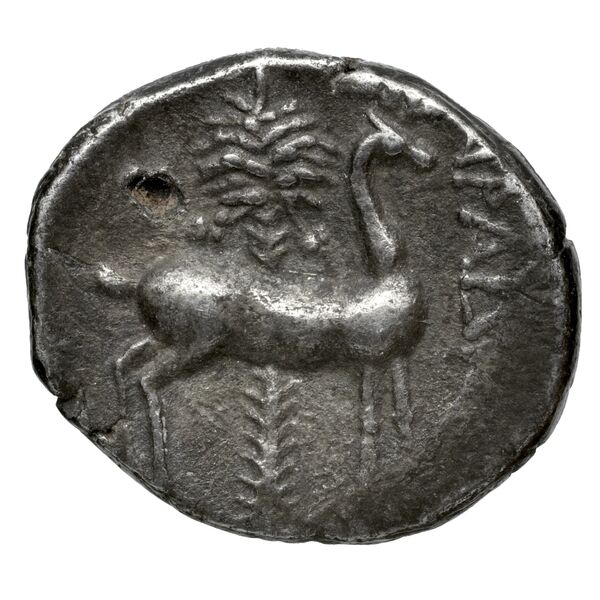 Aradus Duyrat 2005 2573-3009, реверс, bnf-iris