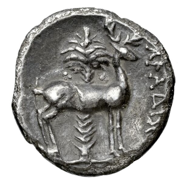 Aradus Duyrat 2005 2573-3009, реверс, bnf-iris