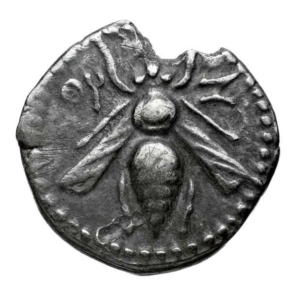 Aradus Duyrat 2005 2573-3009, аверс, bnf-iris