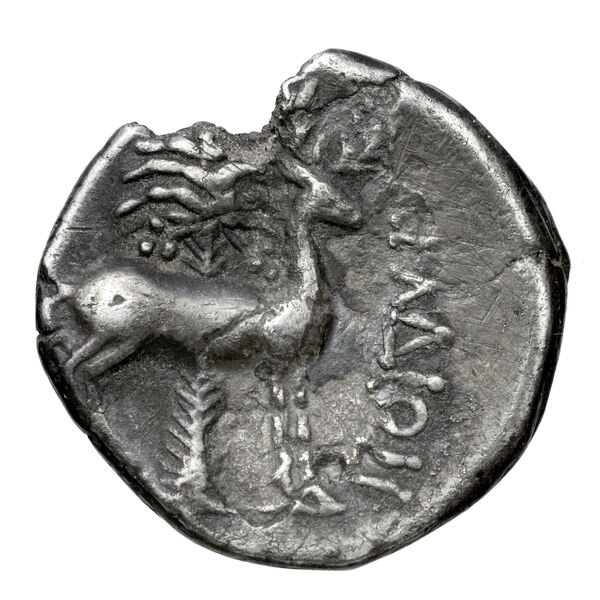 Aradus Duyrat 2005 2573-3009, реверс, bnf-iris