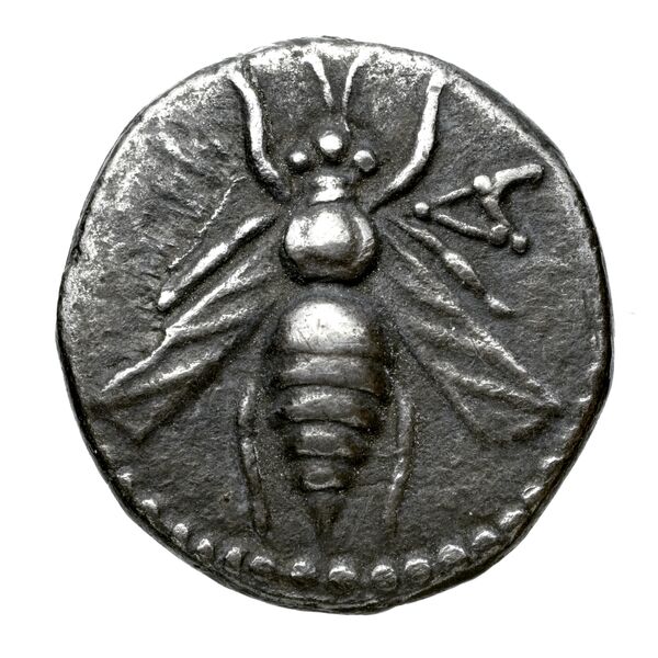 Aradus Duyrat 2005 2573-3009, аверс, bnf-iris