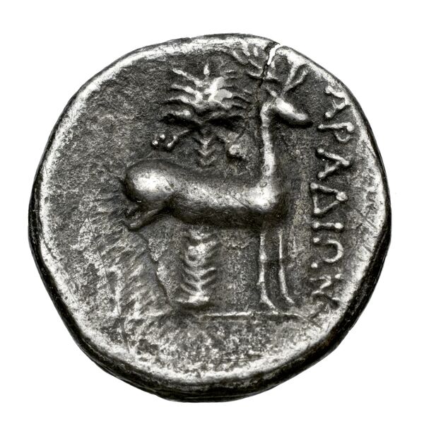 Aradus Duyrat 2005 2573-3009, реверс, bnf-iris