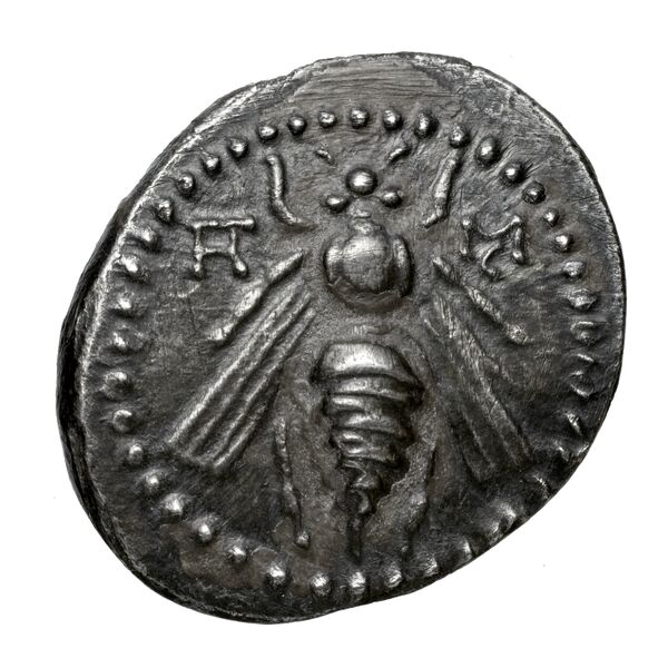 Aradus Duyrat 2005 2573-3009, аверс, bnf-iris