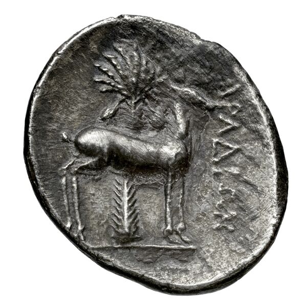 Aradus Duyrat 2005 2573-3009, реверс, bnf-iris