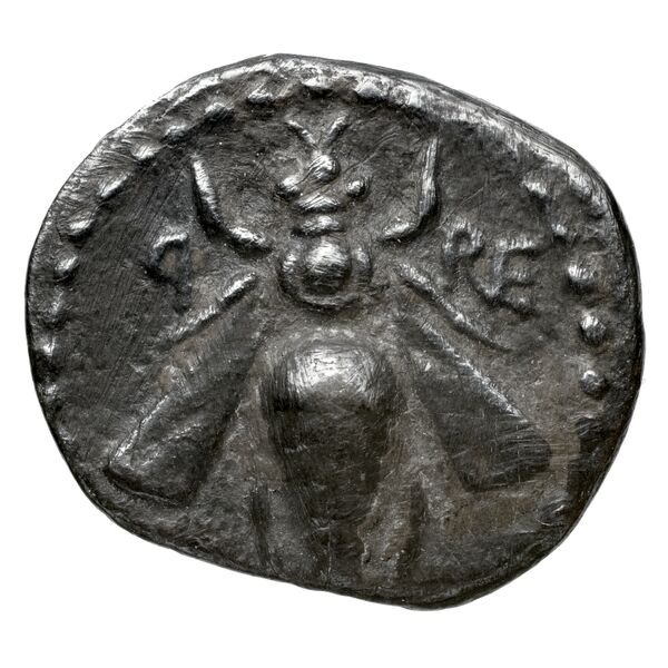 Aradus Duyrat 2005 2573-3009, аверс, bnf-iris