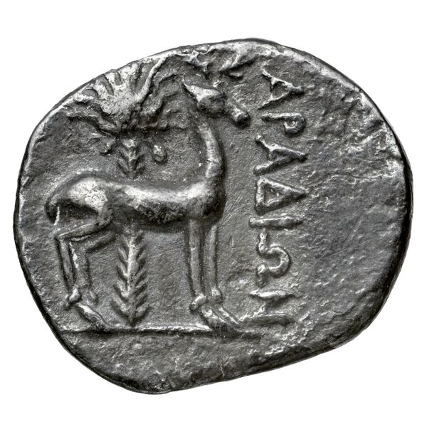 Aradus Duyrat 2005 2573-3009, реверс, bnf-iris