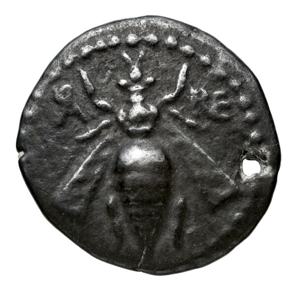 Aradus Duyrat 2005 2573-3009, аверс, bnf-iris