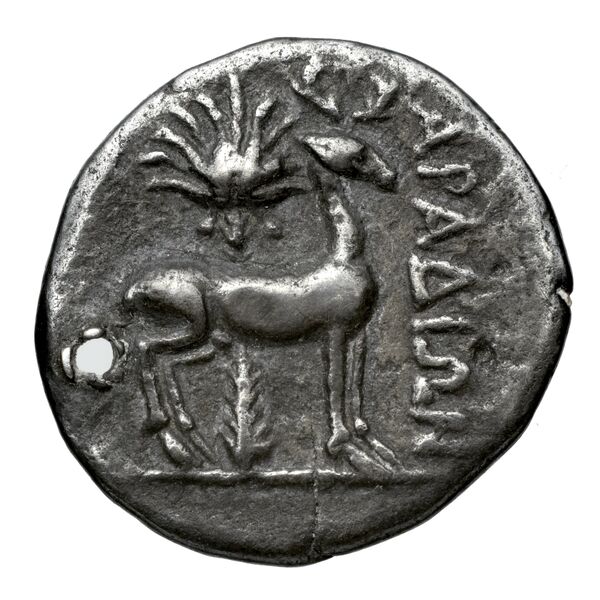 Aradus Duyrat 2005 2573-3009, реверс, bnf-iris