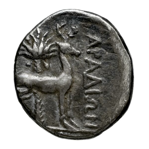 Aradus Duyrat 2005 2573-3009, реверс, bnf-iris