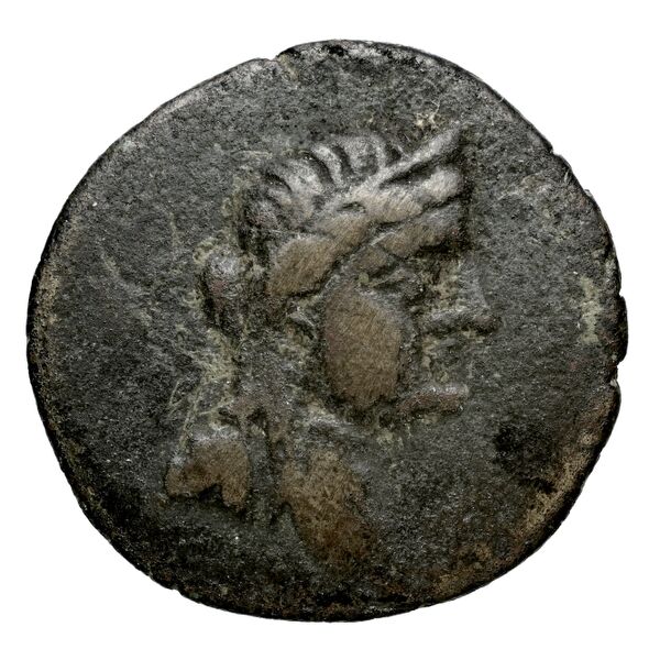 Aradus Duyrat 2005 4422-4602, аверс, bnf-iris