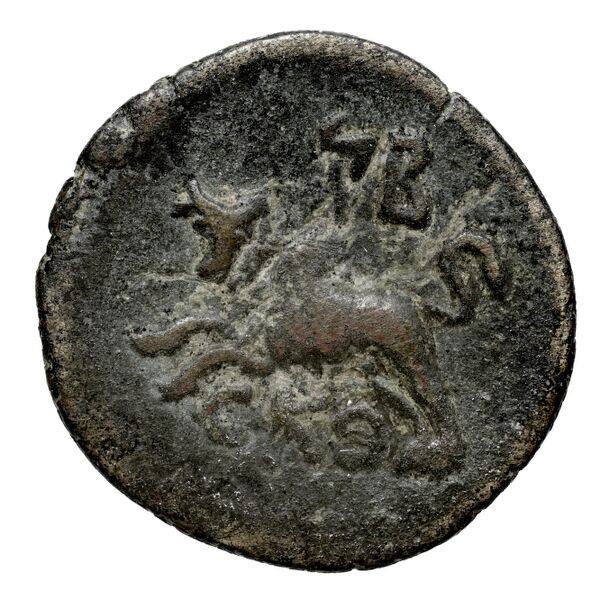 Aradus Duyrat 2005 4422-4602, реверс, bnf-iris